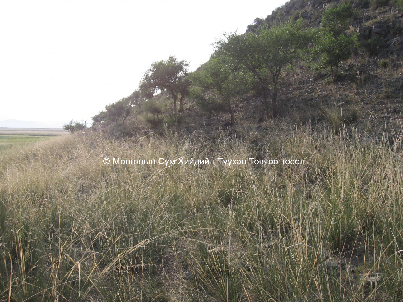 Зүүн-Хойд талаас авсан